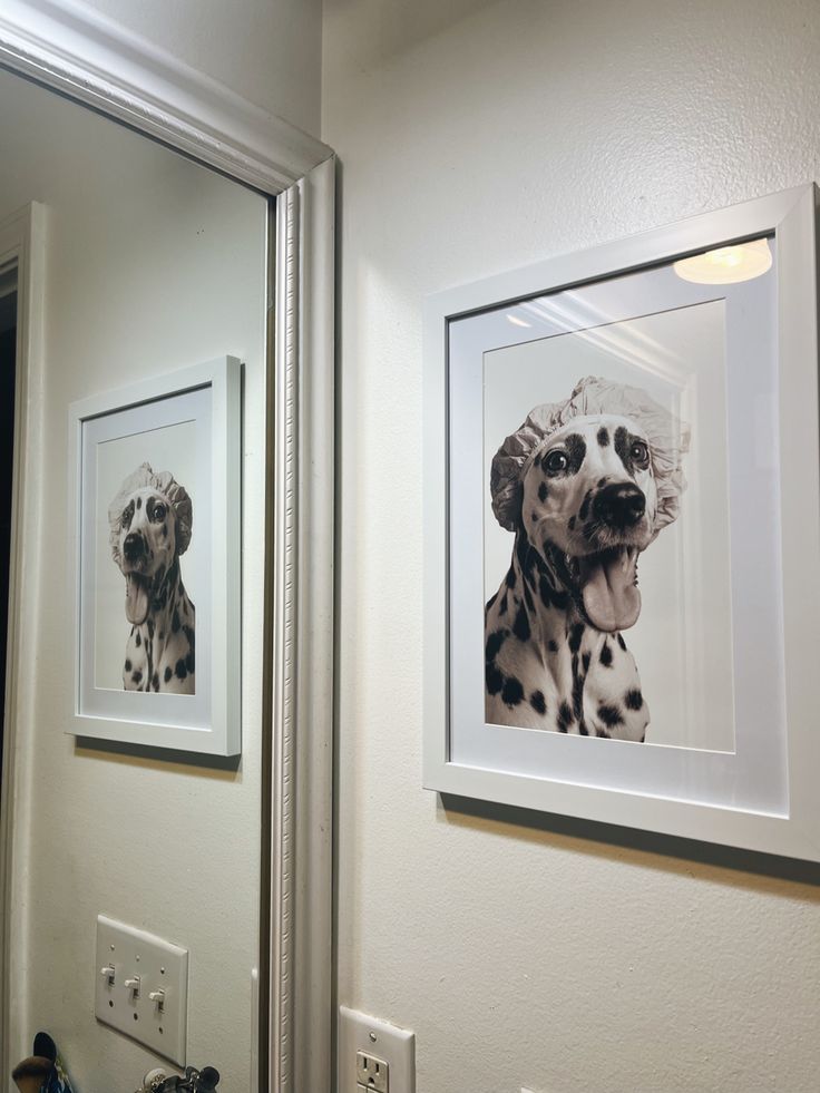 two framed pictures of dalmatian dogs hang on the wall next to a mirror