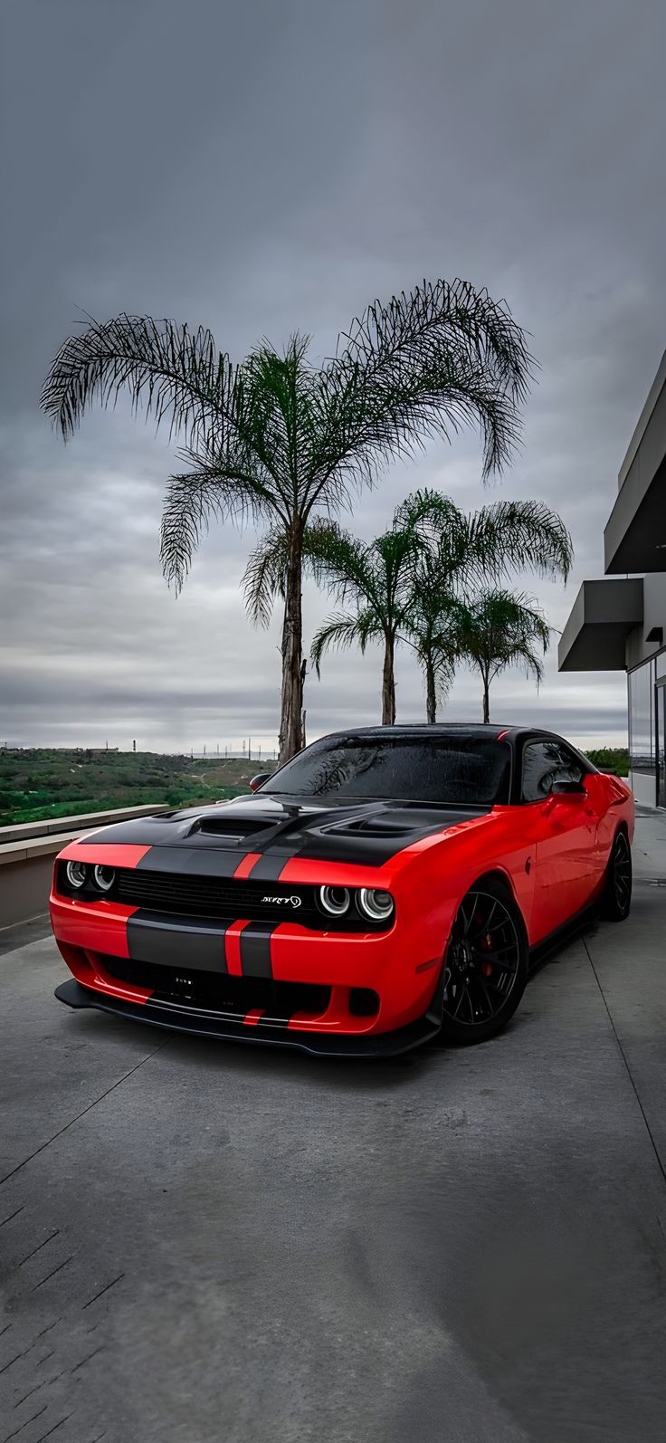 a red and black sports car parked in front of a palm tree