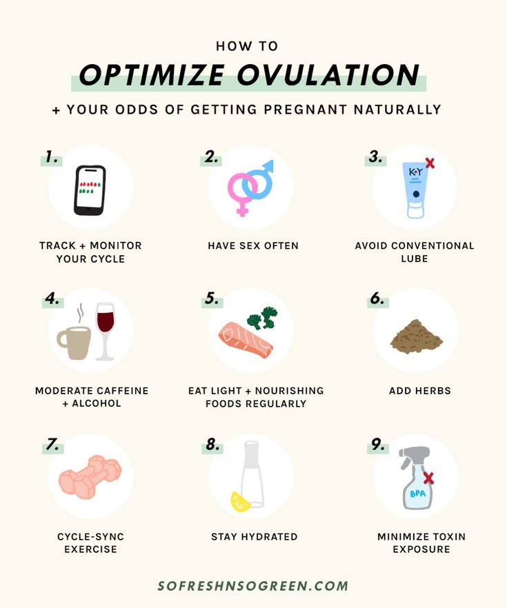 how to optimize ovulation for pregnant women and men info graphic by sophoshgreen com