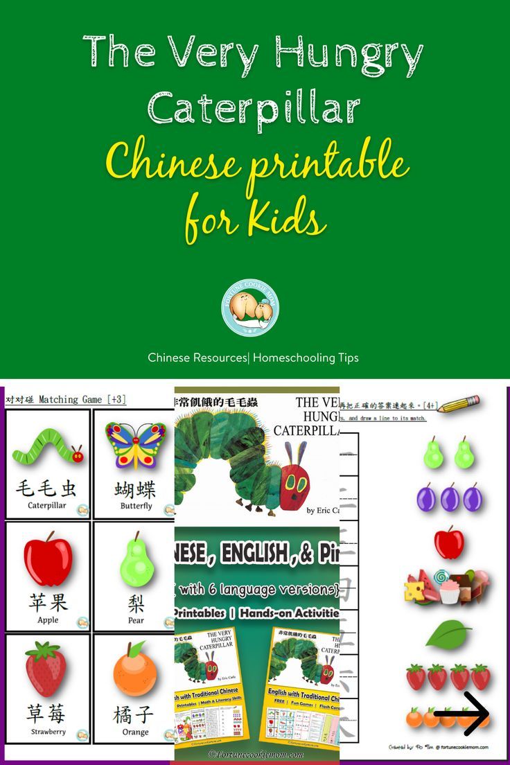 The Very Hungry Caterpillar: Chinese Printable for Kids Butterfly Science Activities, Learn Cantonese, Chinese Literature, Butterfly Science, Basic Chinese, Chinese Learning, Chinese Book, Open Board, Chinese Words