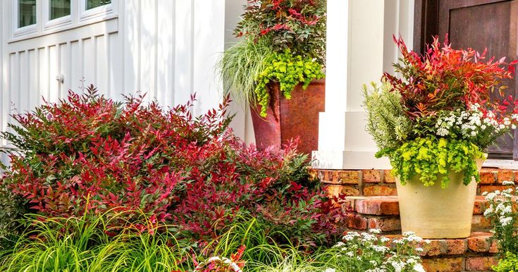 two large potted plants sitting on the side of a building next to some flowers