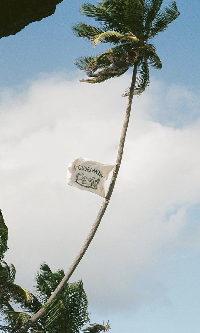 palm trees blowing in the wind with a sign hanging from it's side on a pole