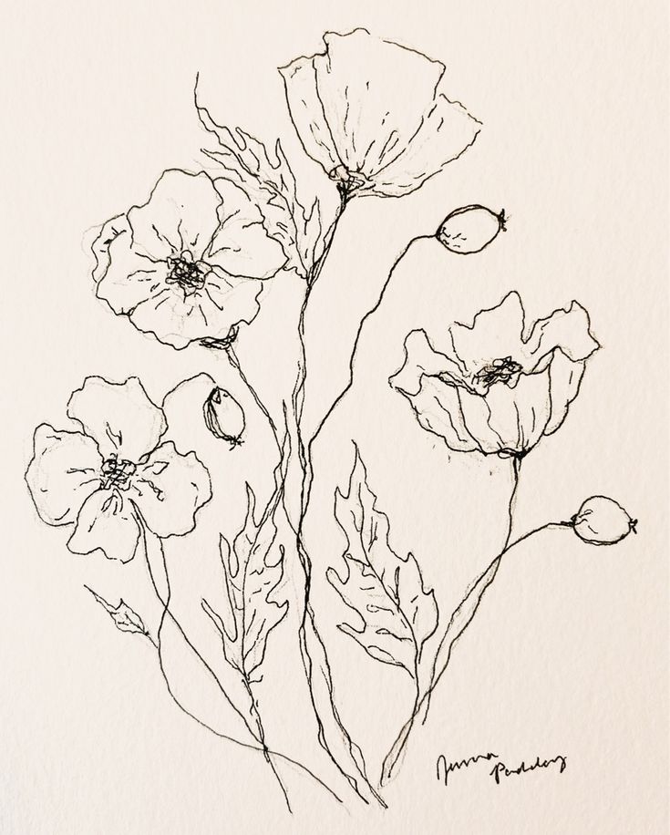 a drawing of some flowers on a white paper