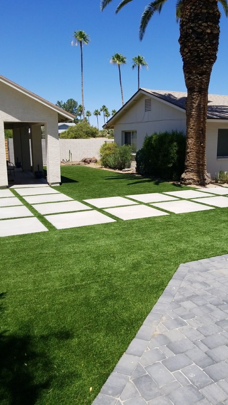 a palm tree sitting in the middle of a yard