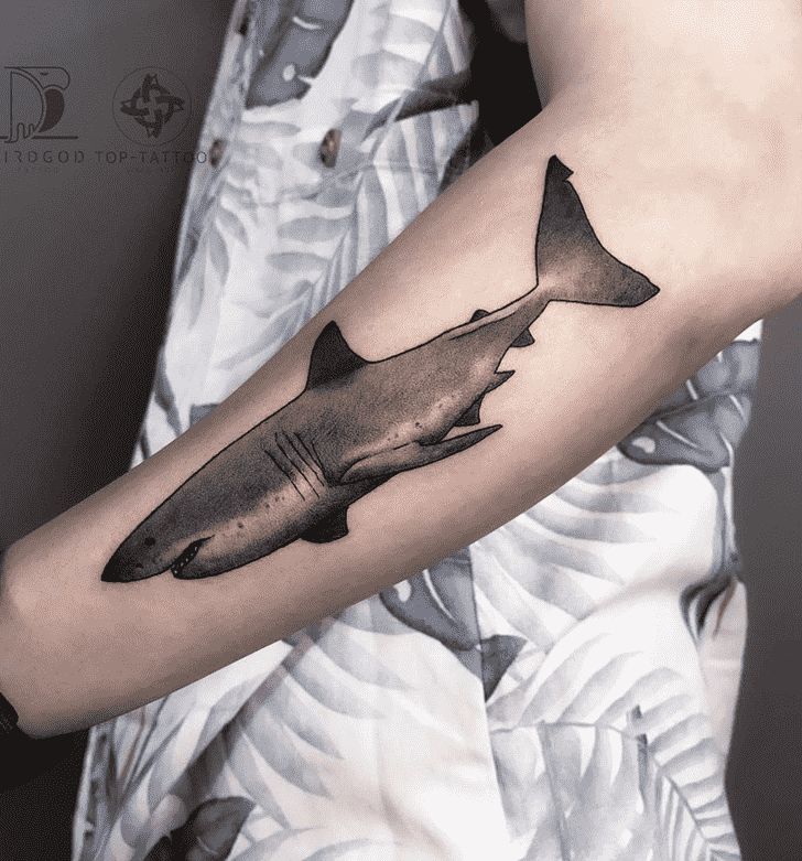 a black and white photo of a shark tattoo on the arm