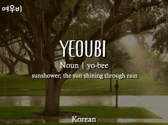 the words yeoubi are written in two languages, and on top of a tree