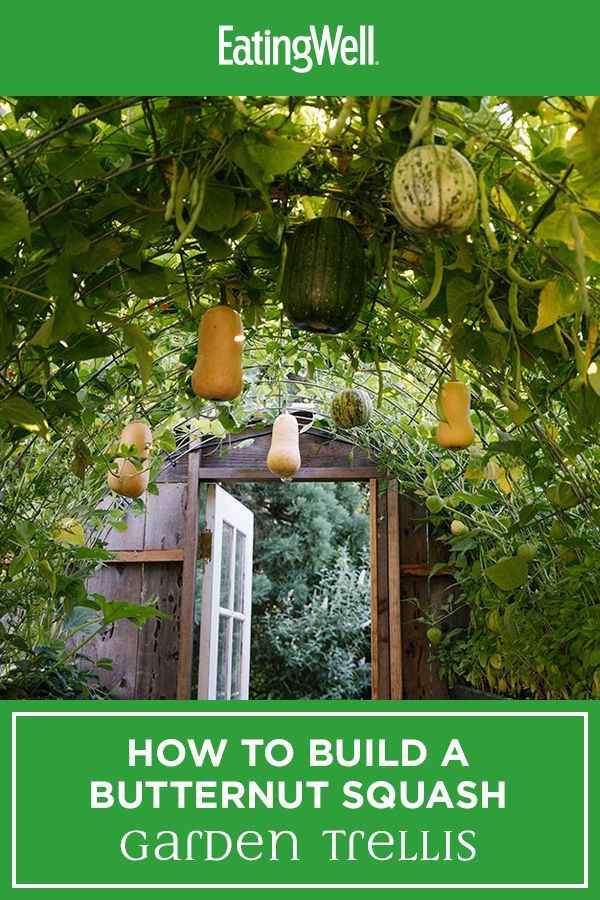 an open door in the middle of a garden with green plants and fruit hanging from it