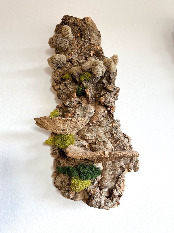 a piece of driftwood with moss and rocks on the bottom is hanging on a wall