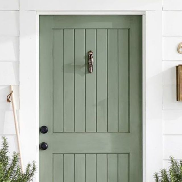 a green front door on a white house with potted plants in the foreground