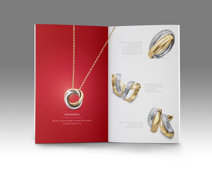 an open book with three different rings on the front and one in the back, sitting next to each other