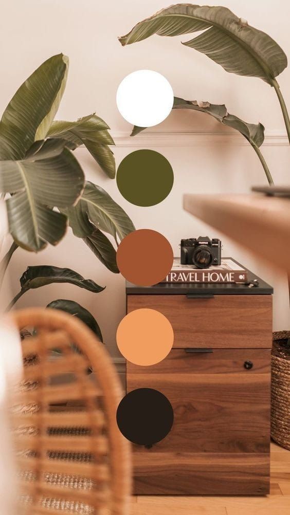 a living room with a plant and an old record player on top of a wooden box