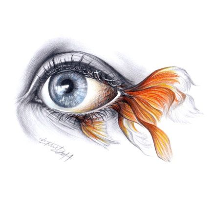 a drawing of an eye with goldfish in it