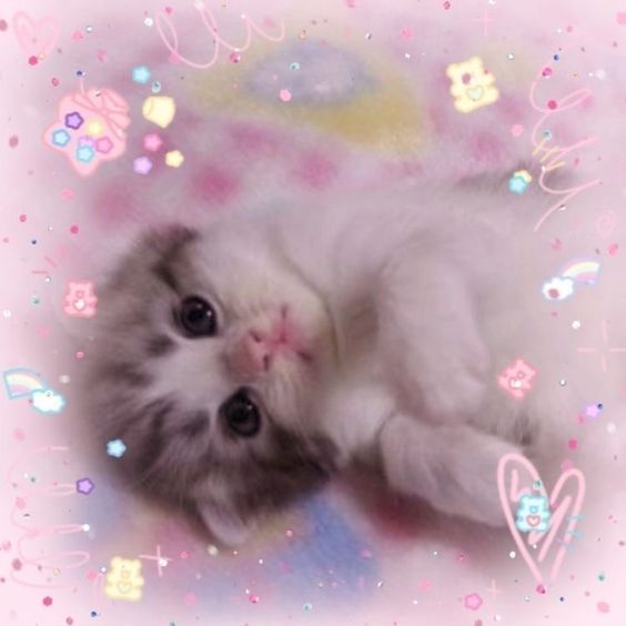 a white kitten laying on top of a pink and blue blanket covered in confetti