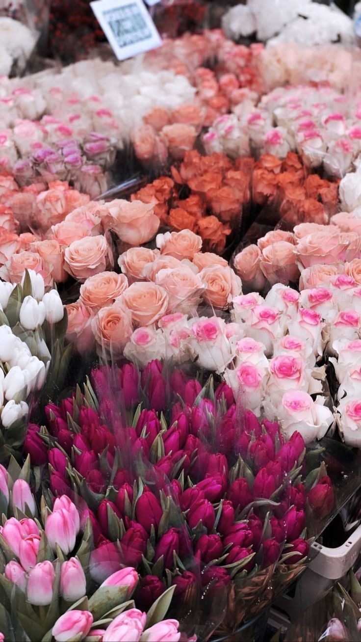 many different types of flowers on display for sale