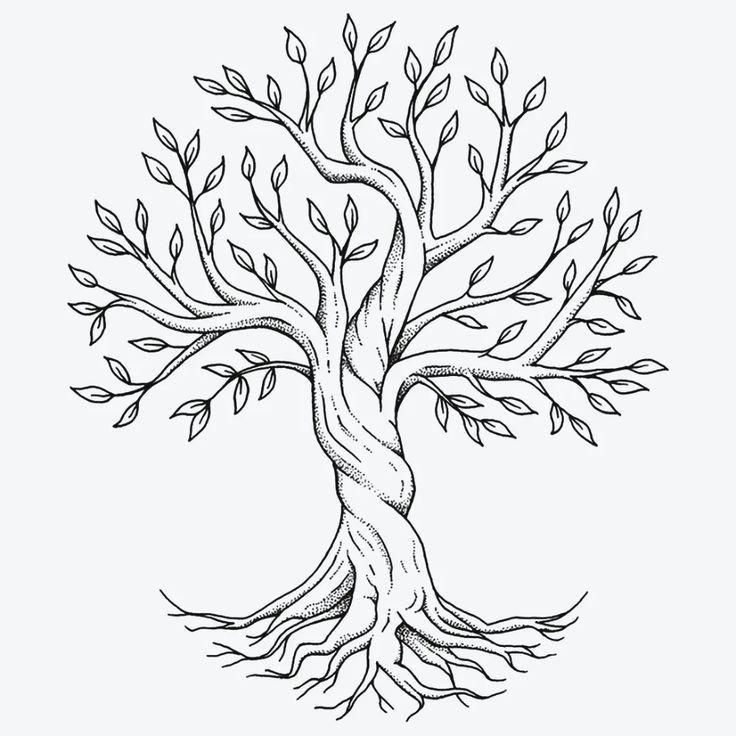 a drawing of a tree with roots