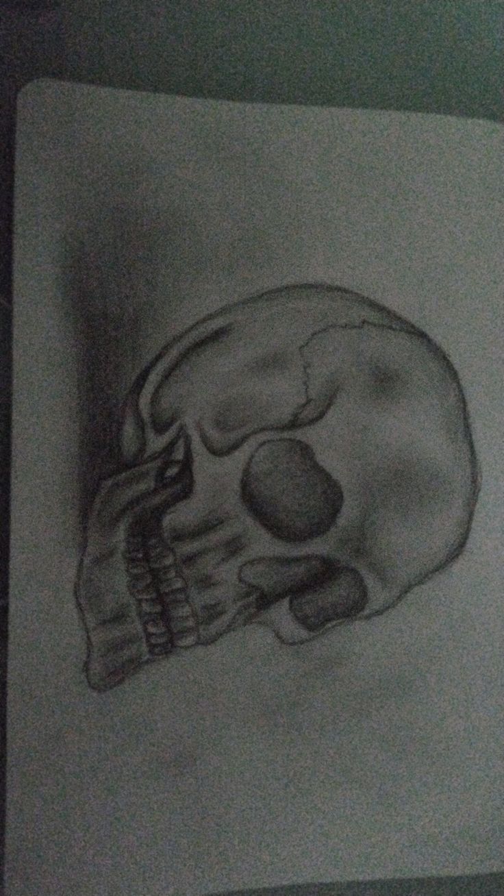 a drawing of a human skull on a piece of paper