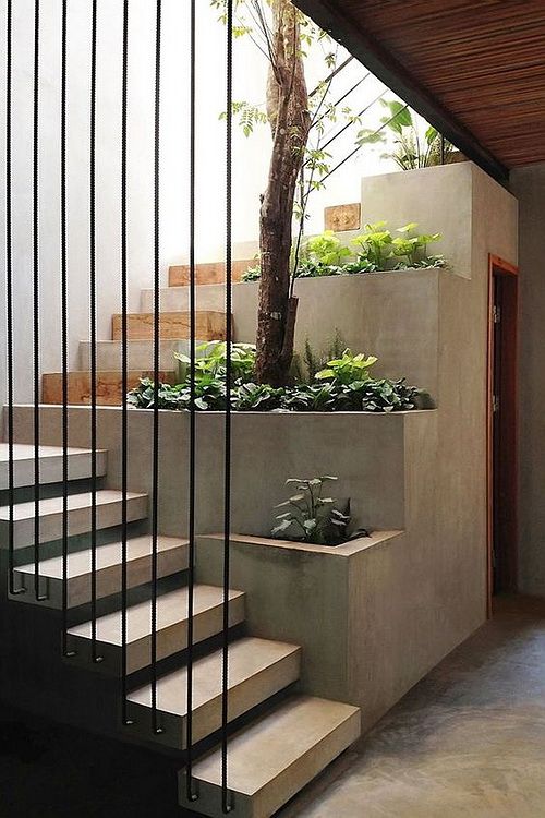 some plants are growing on the steps in this modern house, which has been designed with concrete and steel