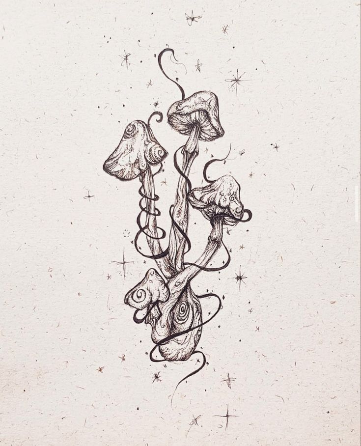 an ink drawing of mushrooms and vines on paper