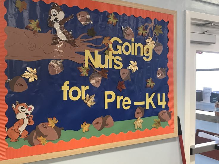 a bulletin board that says going nuts for pre - k4 with an image of a squirrel on it