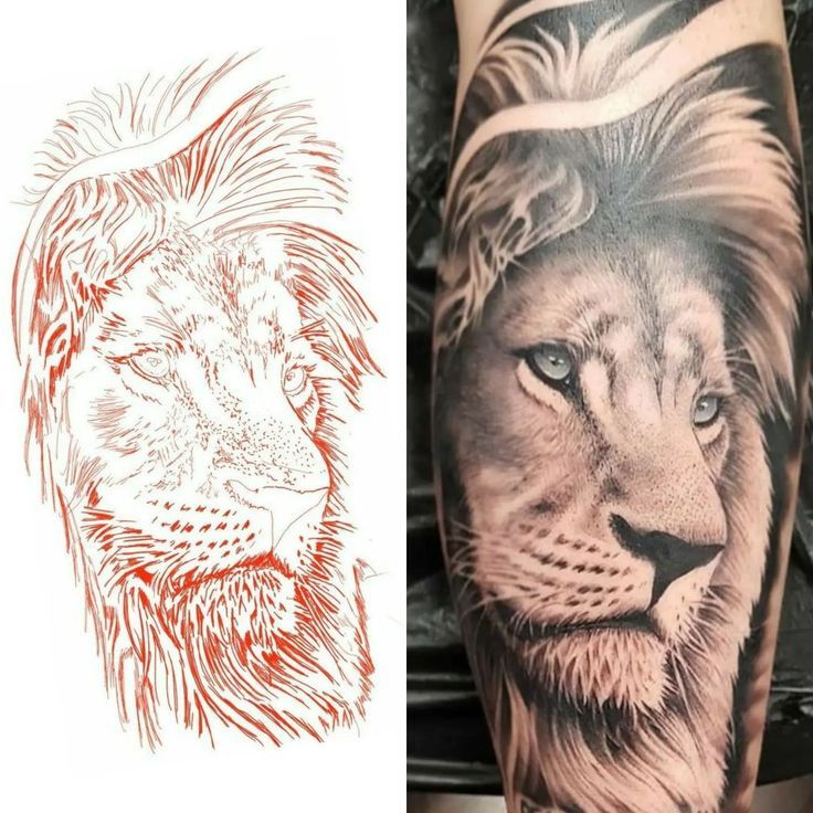 two different tattoos, one with a lion and the other with a tiger's head