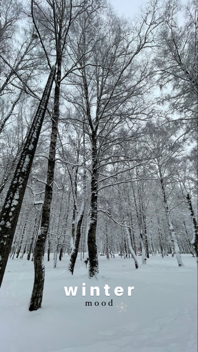 the trees are covered in snow and there is no image on this page to describe