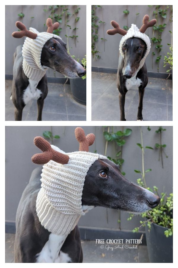 the dog is wearing a sweater with antlers on it's head