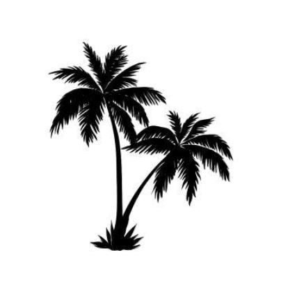 a black and white palm tree on a white background