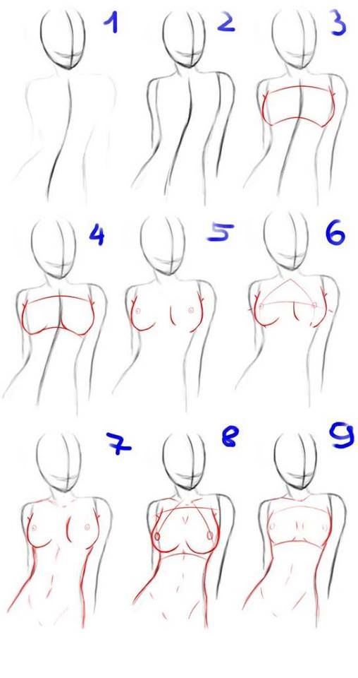 the steps to draw a female body