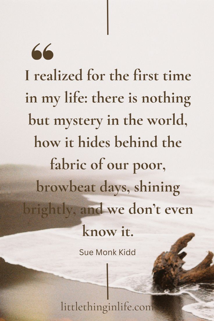 a quote from sue monk kidd on the beach