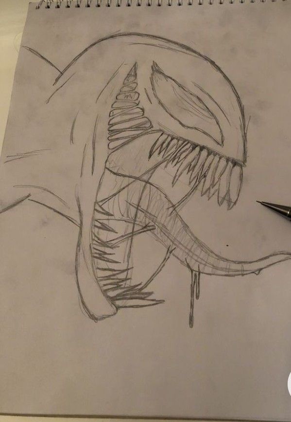 a pencil drawing of a dinosaur with its mouth open