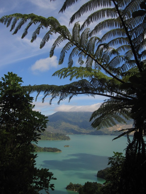 a lake surrounded by lush green trees under a blue sky