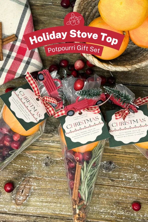 holiday stove top gift set with oranges and cranberries