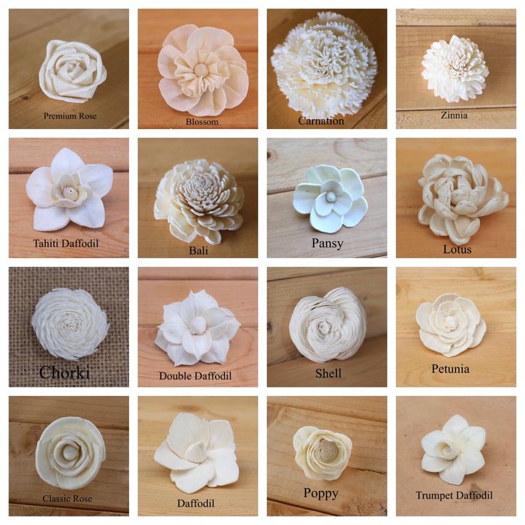 many different types of paper flowers are shown in this image, including white and beige