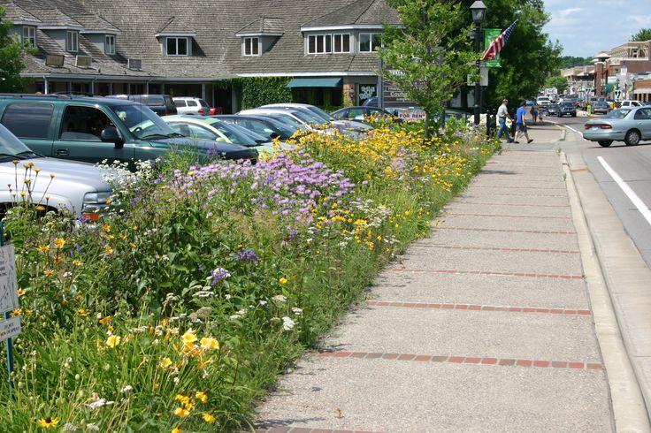 the sidewalk is lined with flowers and plants along it's sides, as well as cars parked on both sides