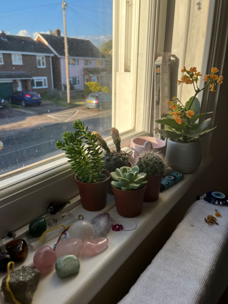 three potted plants sit on a window sill next to rocks and other decorations