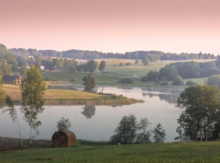 a large body of water sitting next to a lush green field covered in trees and grass