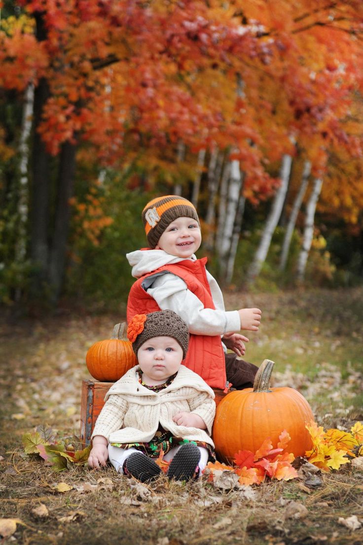 two little boys sitting on top of pumpkins in the woods with autumn leaves around them