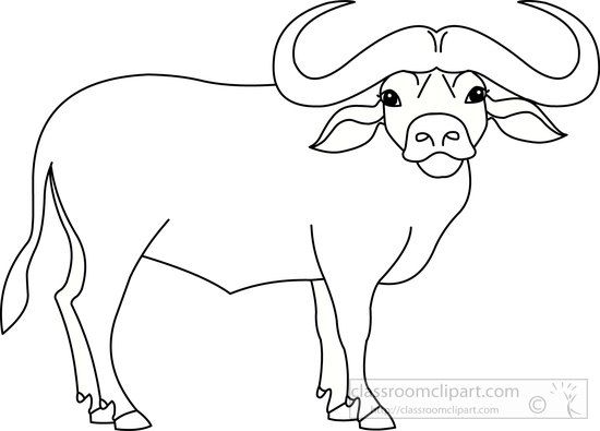 a bull with horns standing in front of a white background