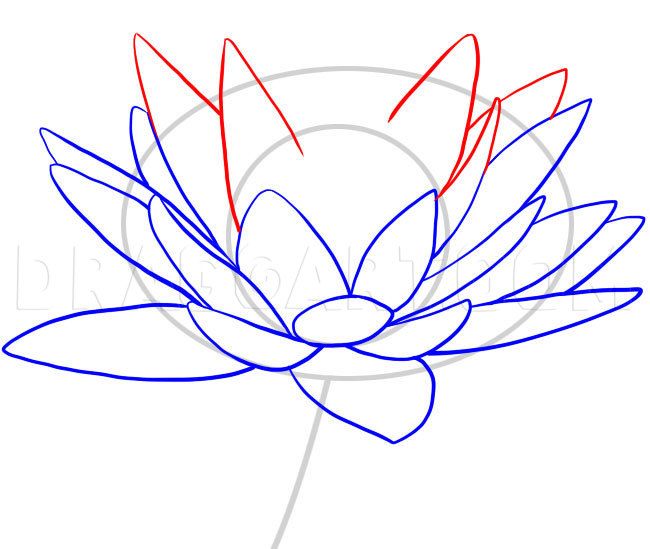 how to draw a lotus flower with colored pencils