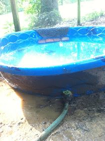 a blue boat sitting on top of a muddy ground next to a fence and trees