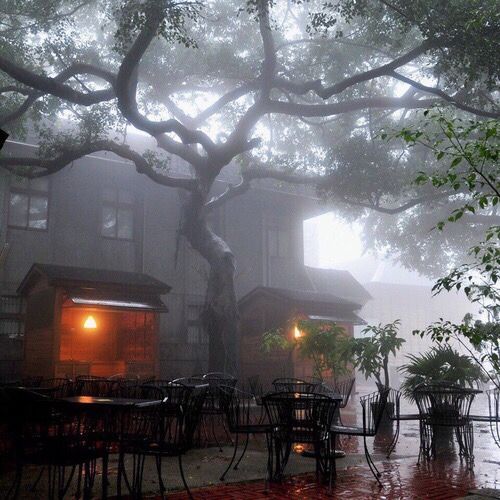 tables and chairs under a tree on a rainy day