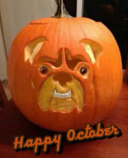 a carved pumpkin with an angry bear face on it's face and the words happy october