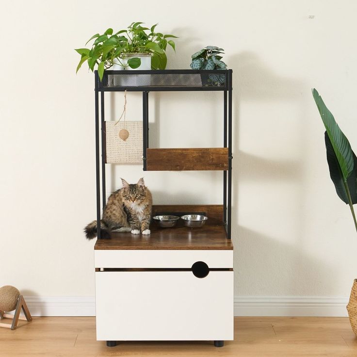 a cat sitting on top of a dresser next to a potted plant and bowl