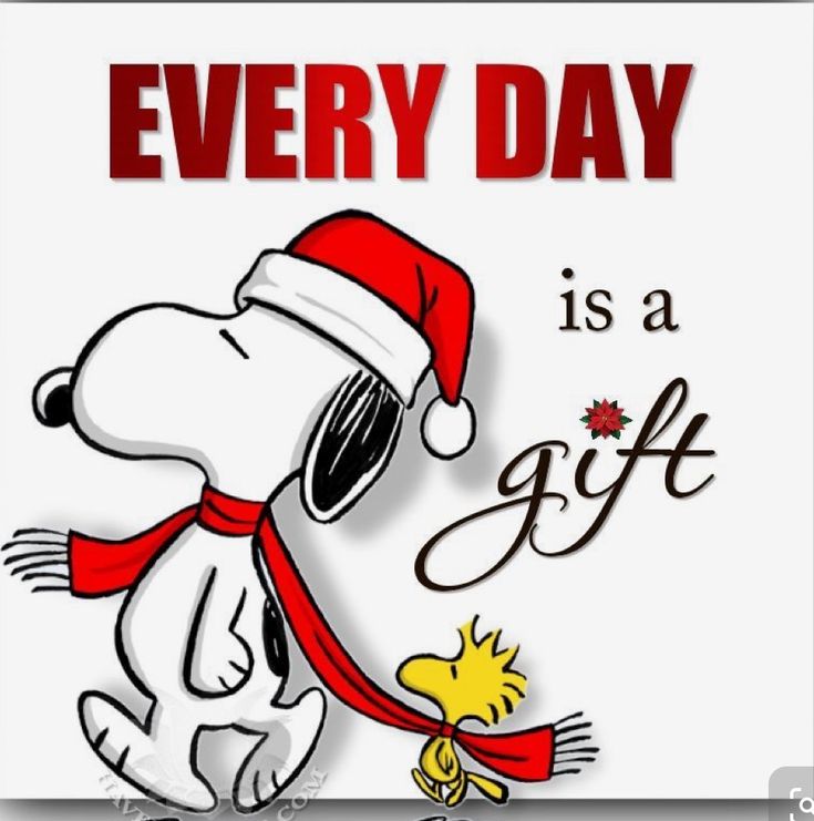 a snoopy christmas card with the words, every day is a gift