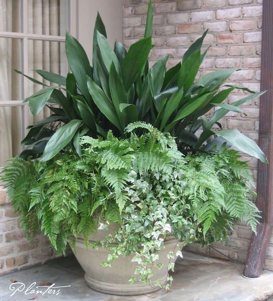 a large potted plant sitting on top of a window sill next to a brick wall