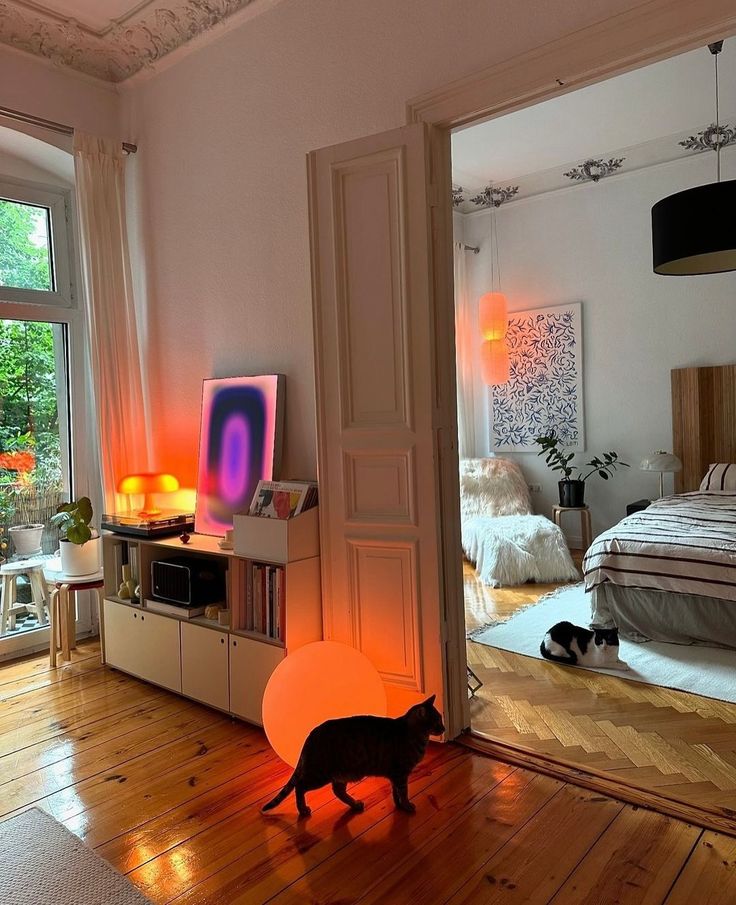 a cat is walking in the middle of a room with an orange light on it