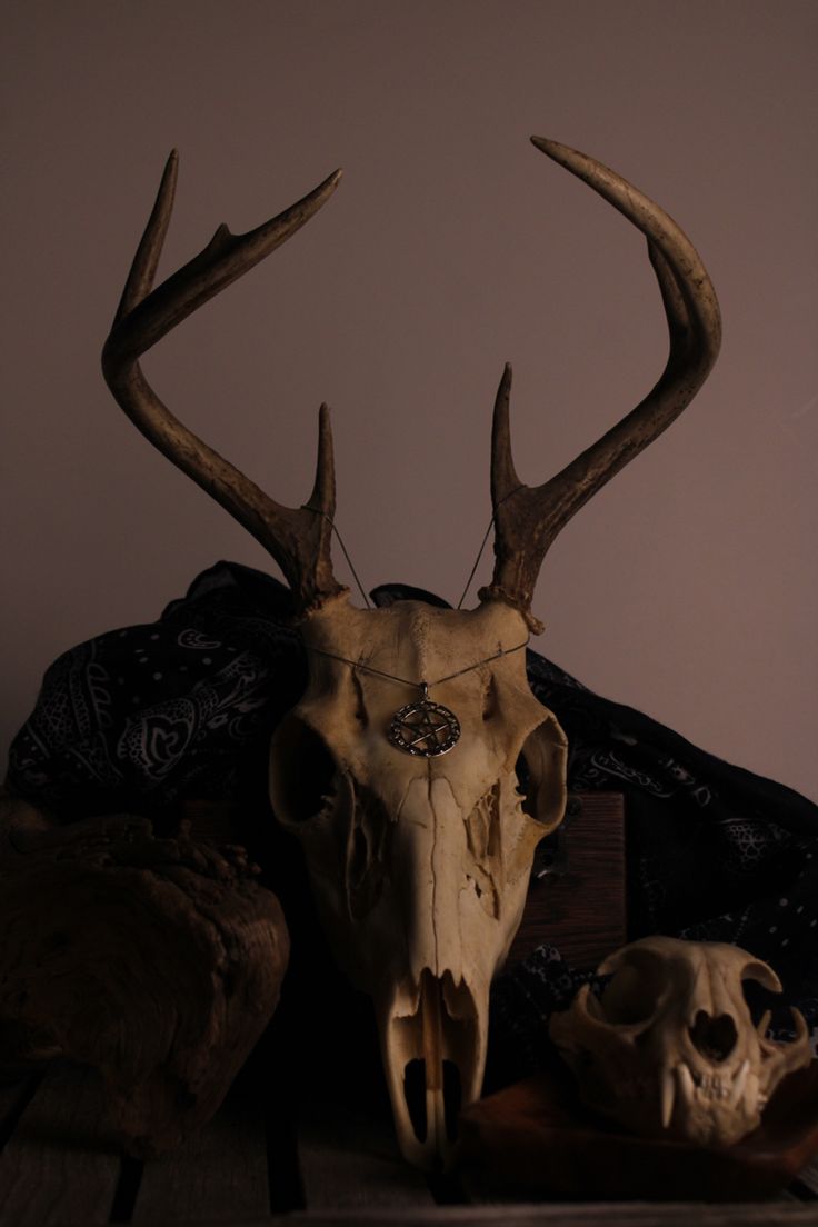 an animal skull and two skulls sitting on a table with a cloth draped over it