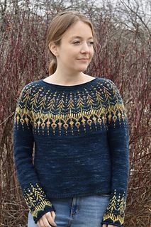 a woman standing in front of some bushes wearing a blue sweater with yellow and gold designs