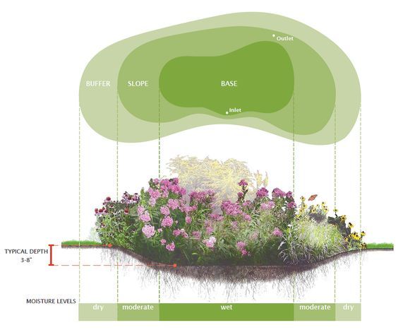 a diagram showing the different types of flowers and plants in an area that is well maintained