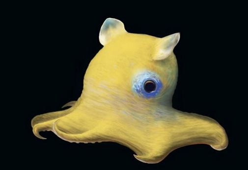 an animal with blue eyes is floating in the air on a black background that appears to be looking like something out of water